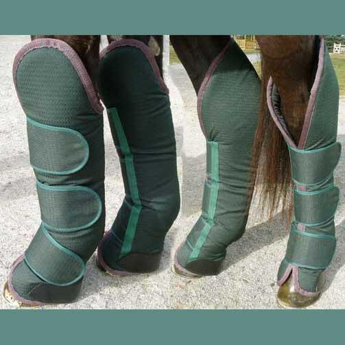 The Dressage Curmudgeon Aren't you going to put shipping boots on your